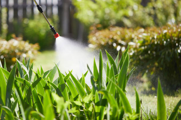 24/7 Emergency Cockroach Control experts in Cridersville, OH